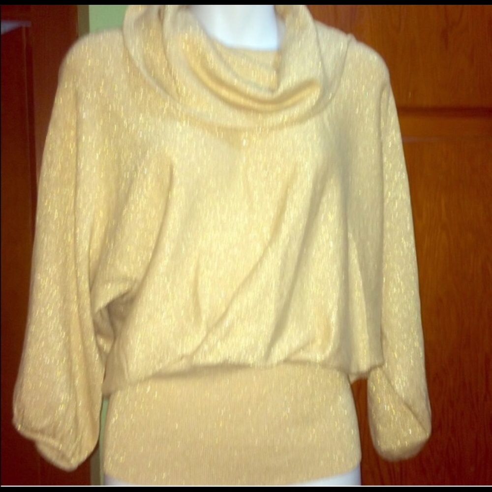 Glittery Gold Sweater Top